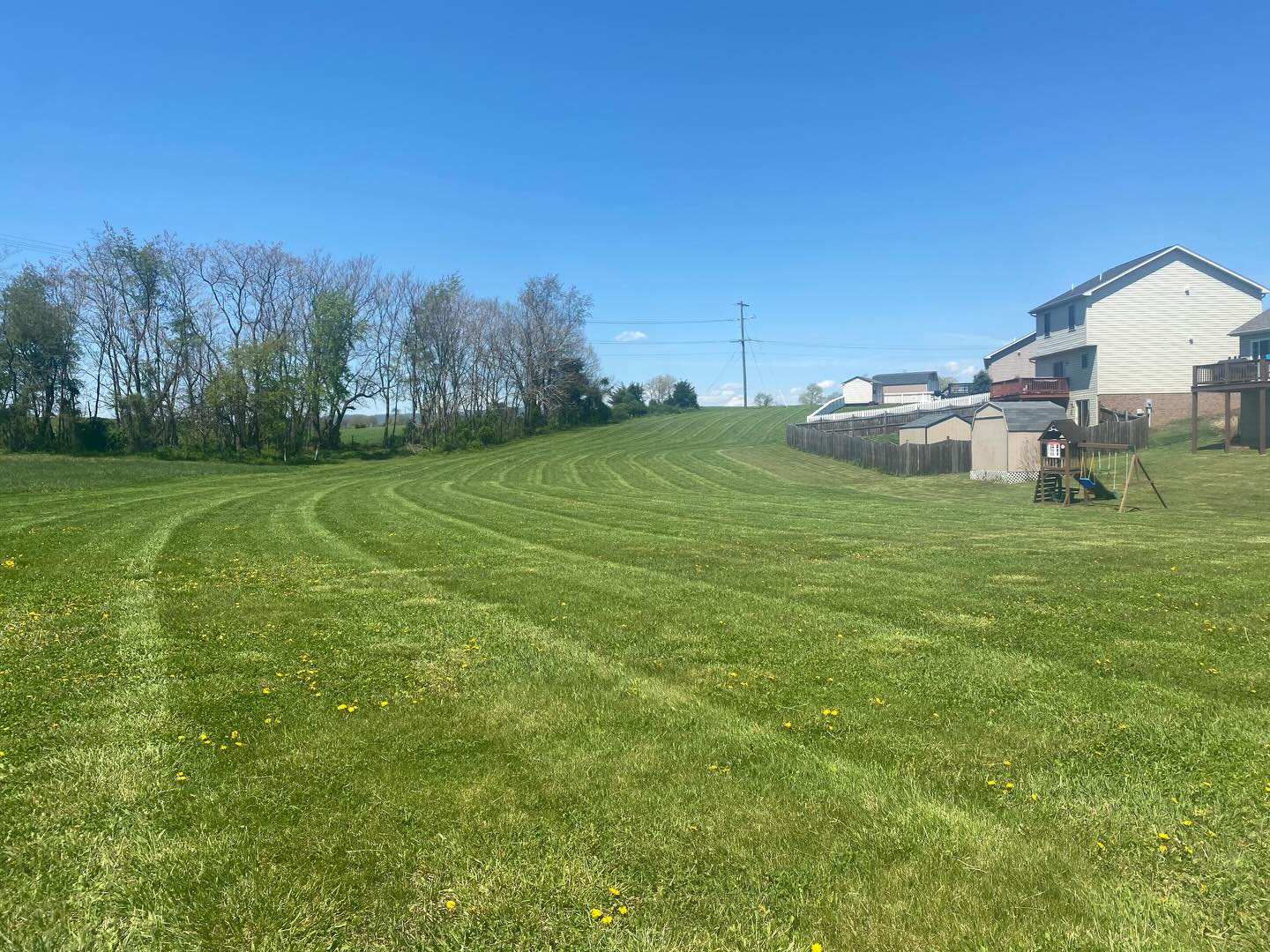 Large residential yard in Harrisonburg VA