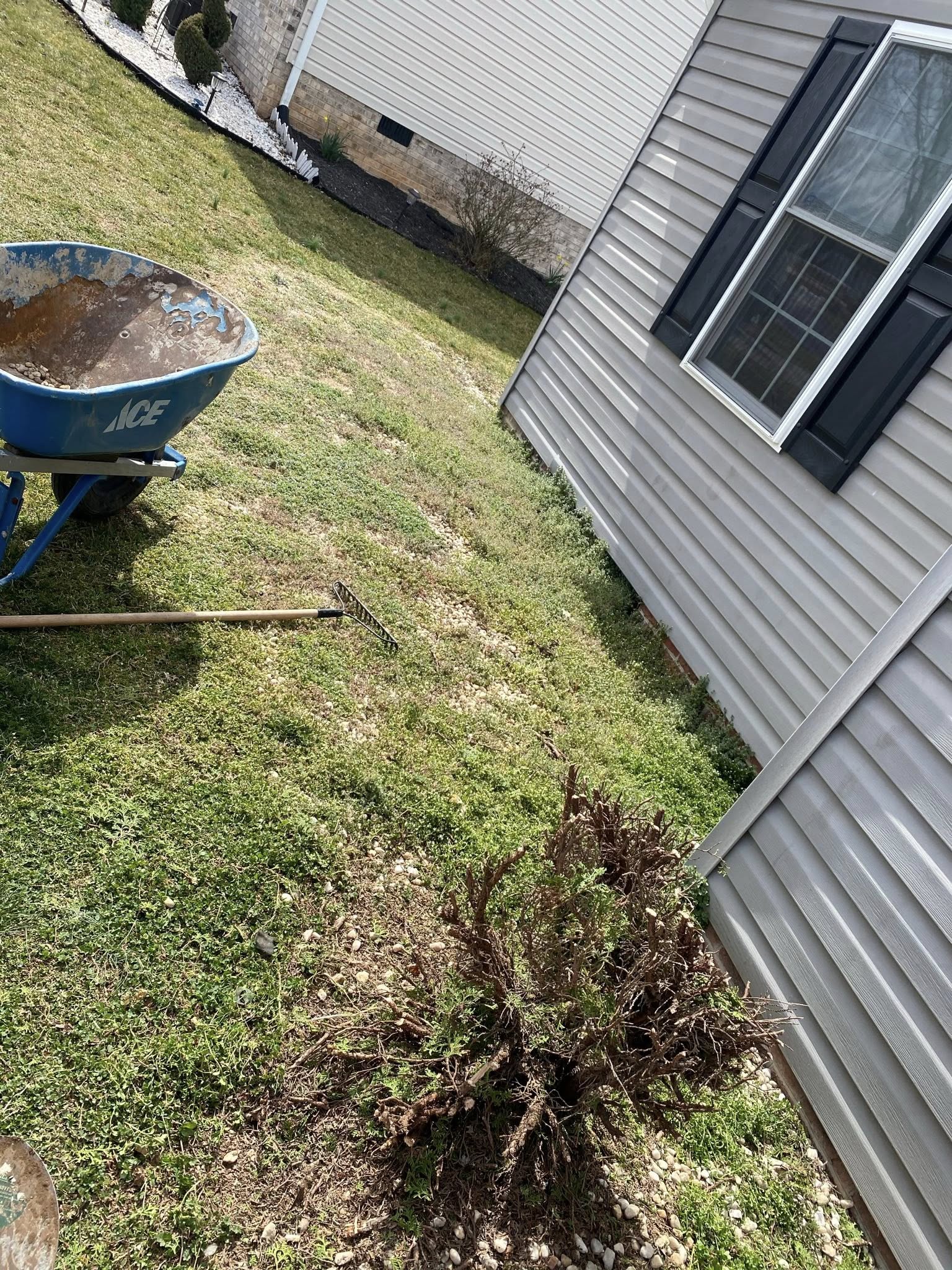 Crew yard cleanup with wheelbarrow and rake in Harrisonburg VA