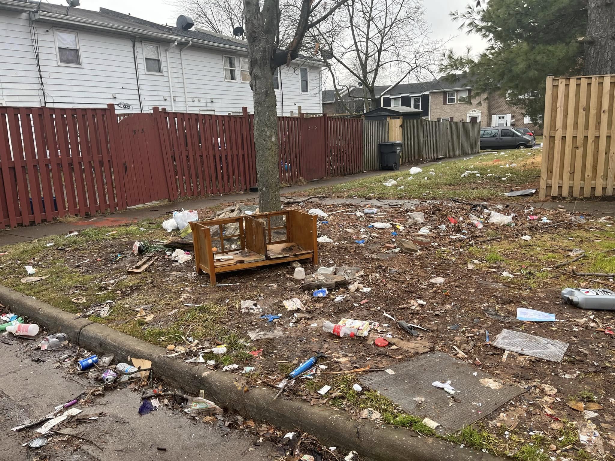 Yard and brush debris cleanup in Harrisonburg VA